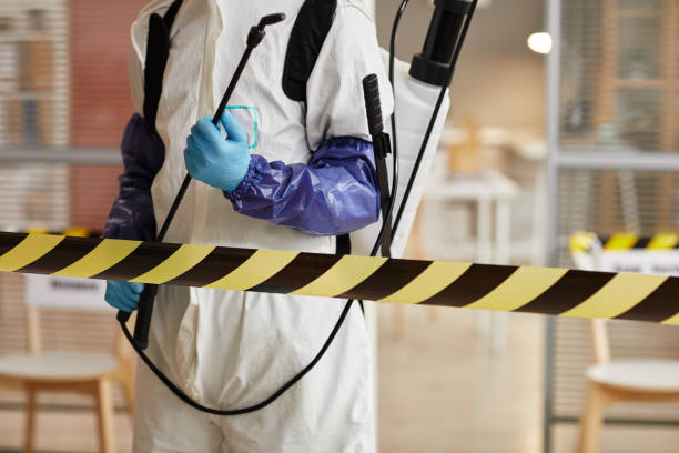 Professional Hoarding Cleanup technician working in Woodbridge, VA