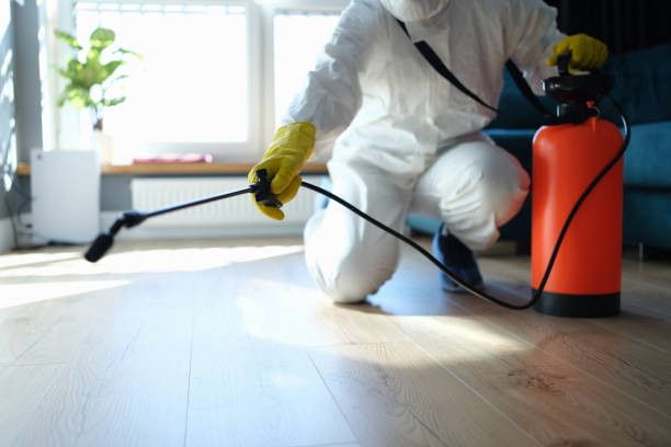 Reliable Hoarding Cleanup contractor in Woodbridge, VA by Dulley Family Biohazard Services
